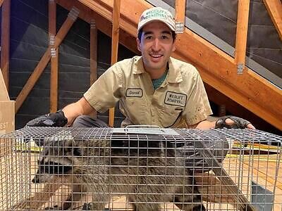 San Diego pest control